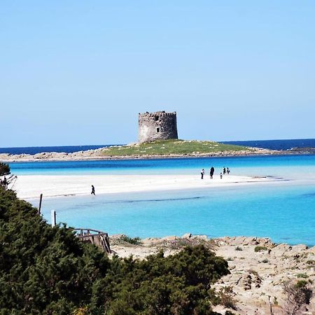 Bed and Breakfast A.Mare Stintino Esterno foto